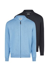 Niet geselecteerd, hellblau dunkelblau