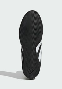 adidas Performance BOX HOG 4 - Træningssko - core black   cloud white   core black