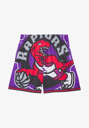 Shorts de basketball en tissu à mailles, couleurs violet et noir, grand motif de dinosaure rouge, texte "Raptors", taille élastique.