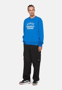 Sudadera azul con el logo blanco de "Dickies Workwear Company", combinada con pantalones cargo negros y zapatillas negras. Tela suave, corte relajado.