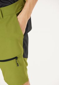 Whistler Outdoorshorts - 3036 woodbine