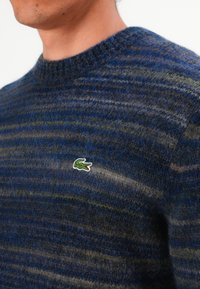 Uomo che indossa un maglione a righe blu e grigie in maglia con un piccolo logo di coccodrillo verde sul petto.