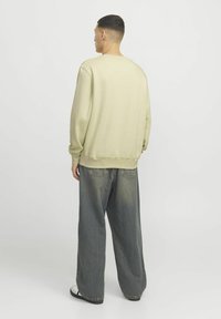 Világoszöld, oversized kapucnis pulóver ribbelt mandzsetta ujjakkal, laza, elhalványult sötétkék farmernadrággal és fekete papuccsal párosítva. Egyszerű hátsó nézet.