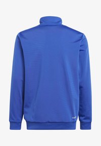 adidas Performance TIBERIO UNISEX niebieski