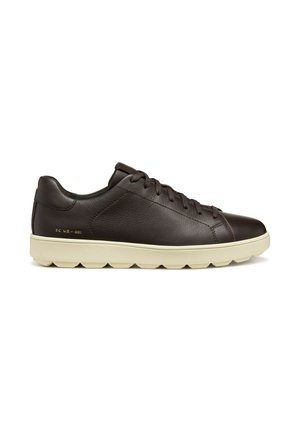 SPHERICA ECUB - Sneakers laag - coffee