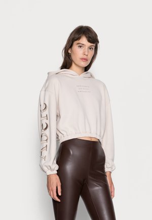 APAC EXCLUSIVE LOGO POPOVER - Felpa con cappuccio - grey morn