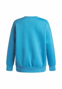 Blauwe sweatshirt met een ronde halslijn, lange mouwen en geribbelde boorden. Zachte textuur en een ontspannen pasvorm met een licht elastische zoom.