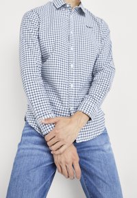 Blauw-wit geruit overhemd met knoopsluiting en lange mouwen, gemaakt van geweven stof, gedragen met lichtblauwe spijkerbroek.