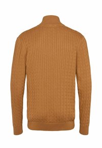 Pull marron en maille torsadée avec manches longues et col montant, vu de dos sur fond blanc.