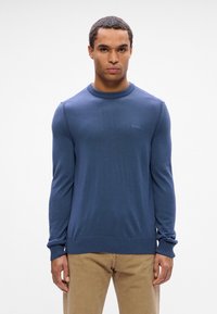 Blue knit sweater with round neckline and ribbed cuffs, featuring a subtle logo on the chest. Worn with tan pants for contrast.