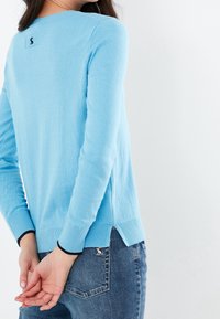 Pull bleu clair à manches longues, avec des bords-côtes aux poignets et à l'ourlet, fentes sur les côtés en bas, arborant un petit logo foncé à l'arrière.