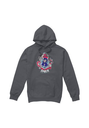 Warner Brothers, TEEN TITANS GO/RAVEN - Hoodie - anthracite