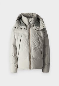 WHISTLER - Winter jacket - elephant skin