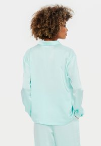 Una blusa di un leggero verde menta con maniche lunghe e colletto, caratterizzata da una texture morbida e liscia e un fit rilassato.