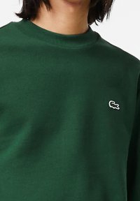 Persona vistiendo un suéter de cuello redondo verde oscuro con un pequeño logotipo de cocodrilo blanco y verde en el lado izquierdo del pecho.
