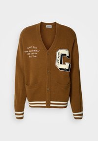 Carhartt WIP DUCKS - Cardigan - hamilton/wax