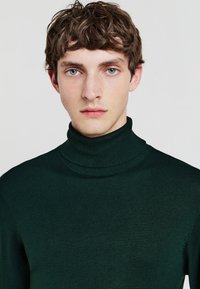 Grüner Rollkragenpullover aus feinem Strickmaterial, figurbetonter Schnitt, mit hohem Kragen und gerippten Details am Hals.