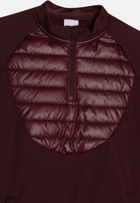 Nike Performance ACADEMY WINTERIZED UNISEX - Langarmshirt - burgundy crush/silver