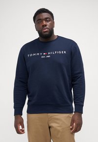 Tommy Hilfiger LOGO  - Sudadera - desert sky