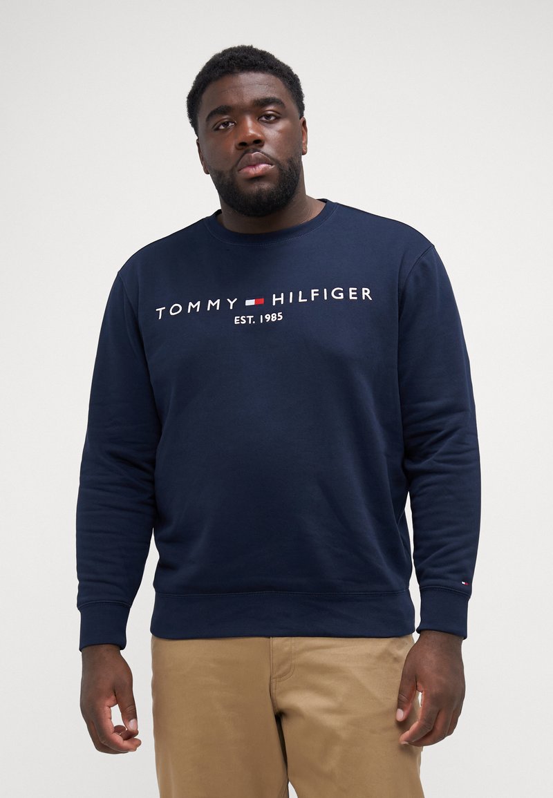 Tommy Hilfiger LOGO  - Sudadera - desert sky