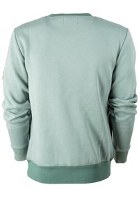 Mintgrüner Pullover mit langen Ärmeln, gerippten Bündchen und Saum. Glatte Textur, keine sichtbaren Muster oder Verzierungen, schlichtes Design.