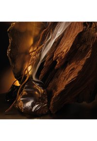 Holzstruktur mit dunklen, reichen Maserungen; transluzente, glasähnliche Stücke; dünne, gewundene Wurzeln; dezente Rauchdetails; warmes, stimmungsvolles Licht.