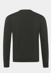 Oscar Jacobson VALTER ROUNDNECK - Stickad tröja - green wind