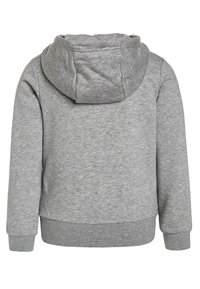 Felpa con cappuccio grigia chiara a maniche lunghe, con polsini e orlo a costine, vista da dietro con il cappuccio abbassato.