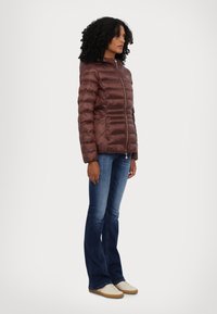 EA7 Emporio Armani GIUBBOTTO - Žieminė striukė - puce