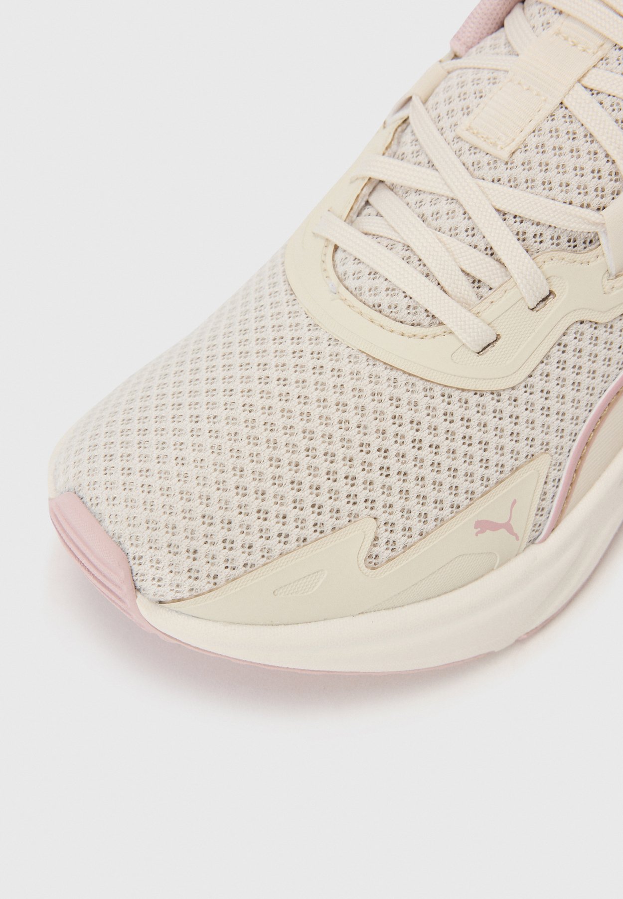 DISPERSE XT 4