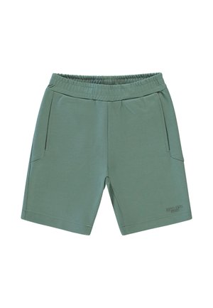 Groene shorts gemaakt van zachte stof, met een elastische tailleband, twee zijzakken en een klein logo op het onderbeen.