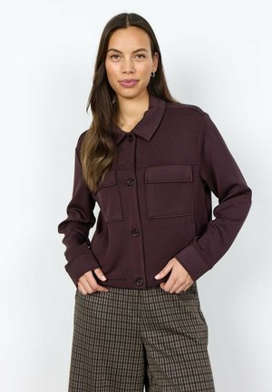 Vrouw met lang bruin haar draagt een donkerpaarse jas met knopen en klepzakken en geruite broek, staand tegen een witte achtergrond.