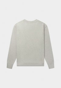 Felpa grigia chiara con maniche lunghe, collo girocollo e polsini a coste. Texture morbida con un design semplice e uniforme. Senza loghi o motivi visibili.