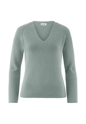 Lichtgrijs-groen gebreide trui met lange mouwen en een V-hals, met een geribbelde textuur rondom de halslijn en manchetten.