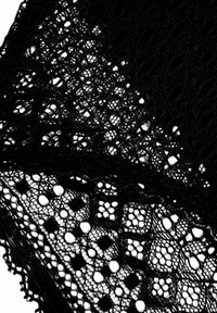 Tessuto in pizzo nero con motivi intricati, caratterizzato da trame aperte e design geometrici lungo i bordi, creando un aspetto testurizzato.