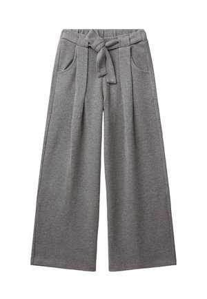 Gray wide-leg pants made of soft fabric, featuring a front tie belt, pleats, and two side pockets. Smooth texture with a casual design.