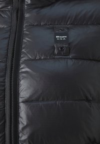 Blauer CAROLL - Žieminė striukė - nero/beige