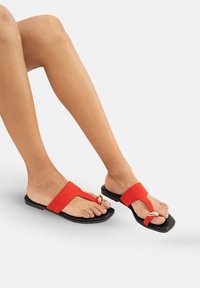 Female legs wearing black flat sandals with red straps and gold oval embellishments, toes visible, set against a plain light background.
