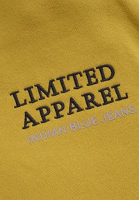 Indian Blue jeans LIMITED APPAREL - Sweatshirt - antique bronze