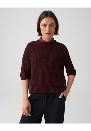 Vrouw met kort donker haar, gekleed in een kastanjebruine gebreide trui over een gestreept overhemd, staand met één hand in de zwarte broekzak tegen een grijze achtergrond.