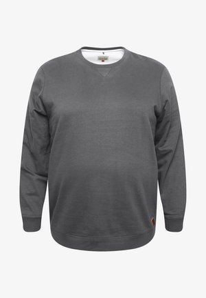 Felpa grigia a girocollo realizzata in tessuto morbido, con maniche lunghe, orlo a costine e un piccolo tag decorativo sul lato sinistro in basso.