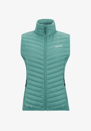 Regatta, WANDERSONHYBRID - Waistcoat - ivy moss