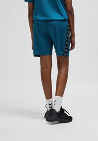 Turkosa sportshorts med svarta chevron-accenter på sidorna, tillverkade av lätt material. Kombinerade med svarta sneakers och vita strumpor med ett svart mönster.