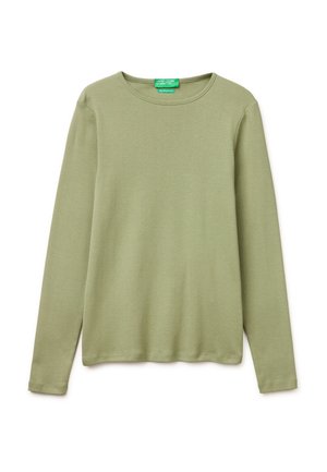 Hellgrünes Langarmshirt mit Rundhalsausschnitt, schlichtem Design und weichem Stoff, mit einem kleinen grünen Etikett am Halsausschnitt.