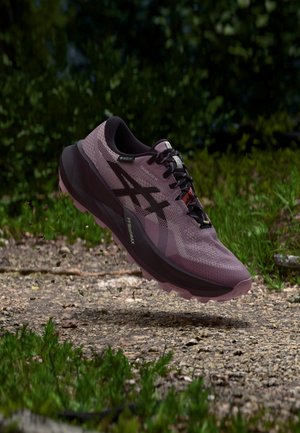 ASICS, TRABUCO 14 GTX - Scarpe da trail running - taro purple/dark aubergine