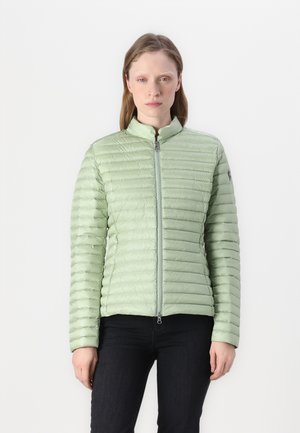 Hellgrüne, gesteppte Daunenjacke mit hohem Kragen, durchgehendem Reißverschluss und einem eleganten Design. Glatte Textur mit schlanker Passform.