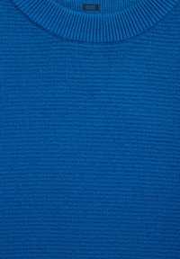 WE Fashion STRUCTUUR - Pulover - blue