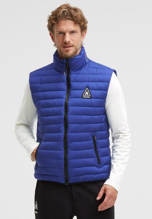 Man with light brown hair wearing a blue quilted sleeveless vest over a white long-sleeve shirt, standing against a plain gray background.