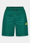 TIRO - Αθλητικό σορτς - collegiate green/bold gold/blanch green
