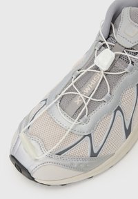 Lys grå sportssko med mesh-overside, sølv detaljer, elastiske lisser og strukturert såle. Har en tydelig logo på tunga.